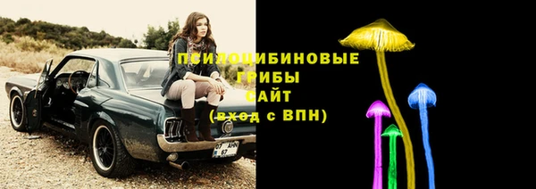 прущий лед Аркадак
