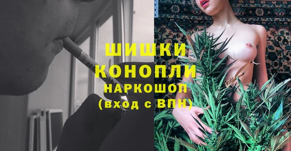 прущий лед Аркадак